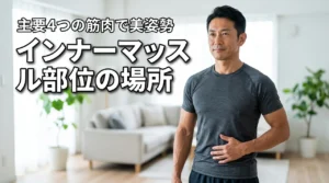 インナーマッスル部位の場所はどこ？主要な4つの筋肉を鍛えて美姿勢を手に入れる