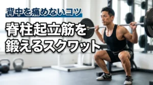 スクワットで脊柱起立筋は鍛えられる?背中を痛めないフォームとベルトのコツを解説